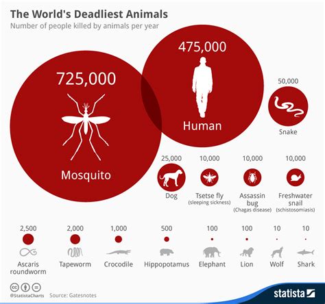 Dangerous Animals 2025